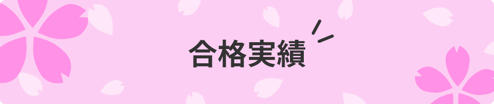 入試合格実績
